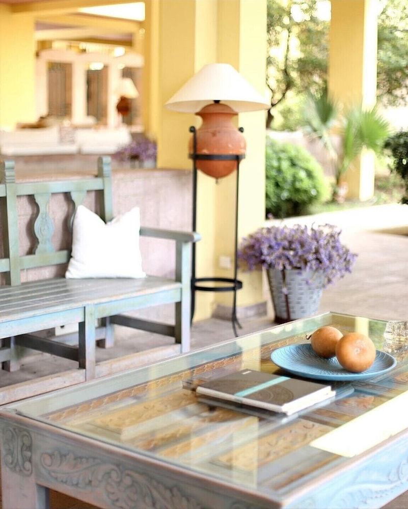 Palm Court Suites 8/48