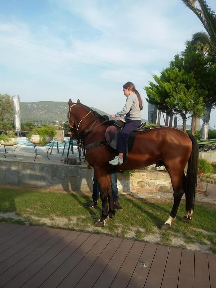 Ariadnes Holiday Accommodation I photo4