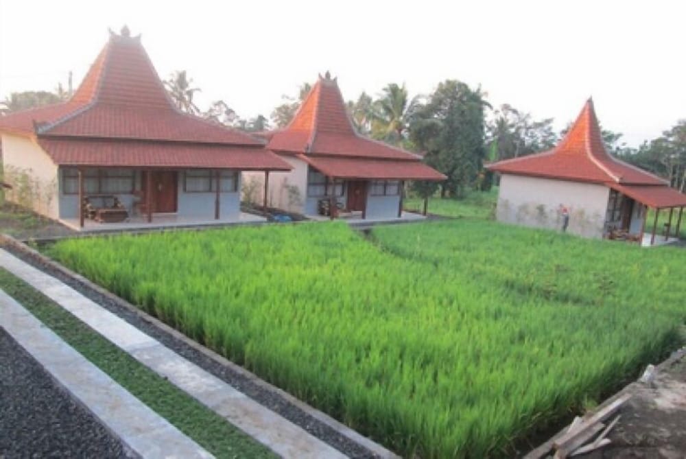 Kampoeng Joglo Ijen Banyuwangi 39/46