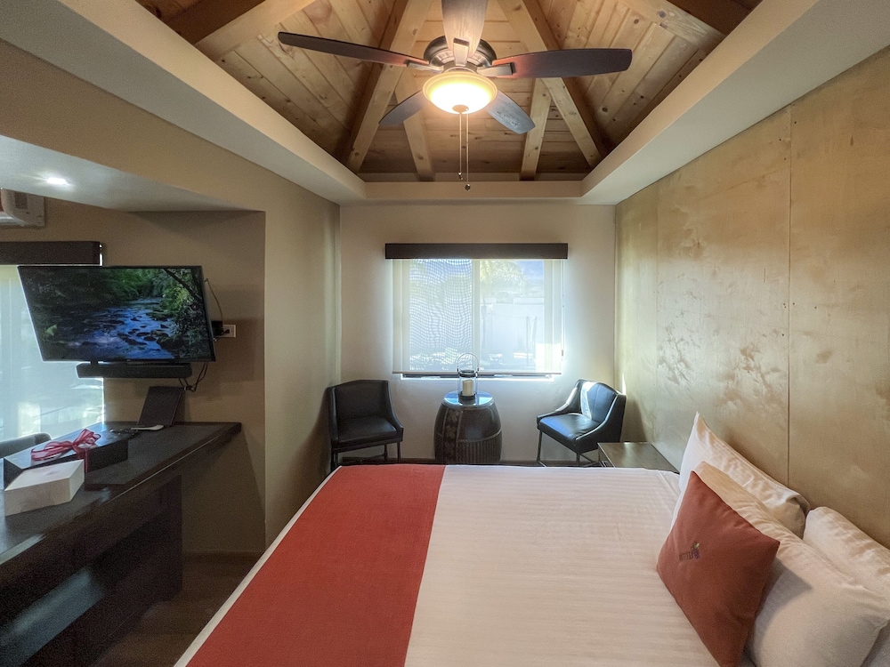 MASTER, SUITE, TERRACE