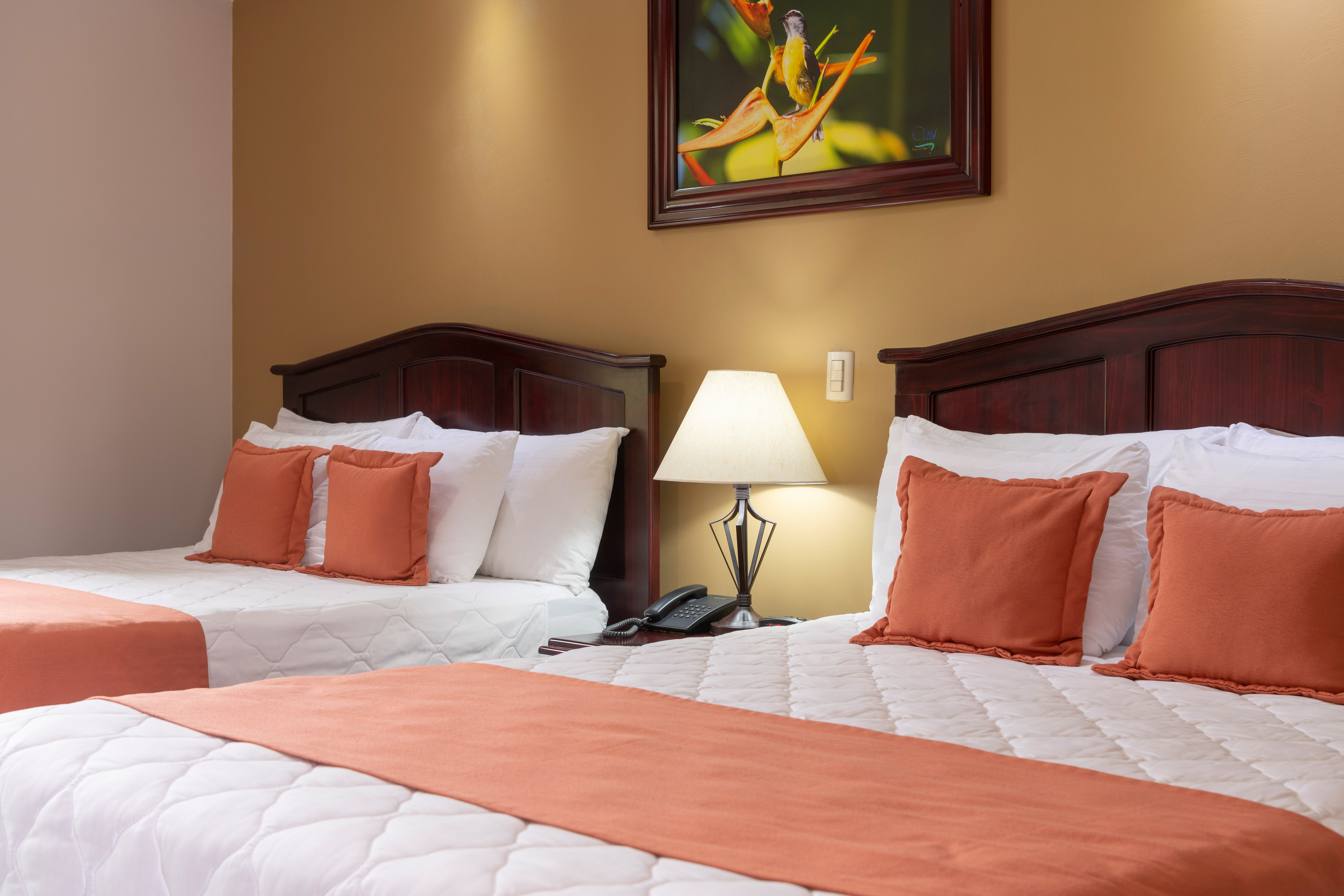 Superior, 1 King or 2 Double Beds