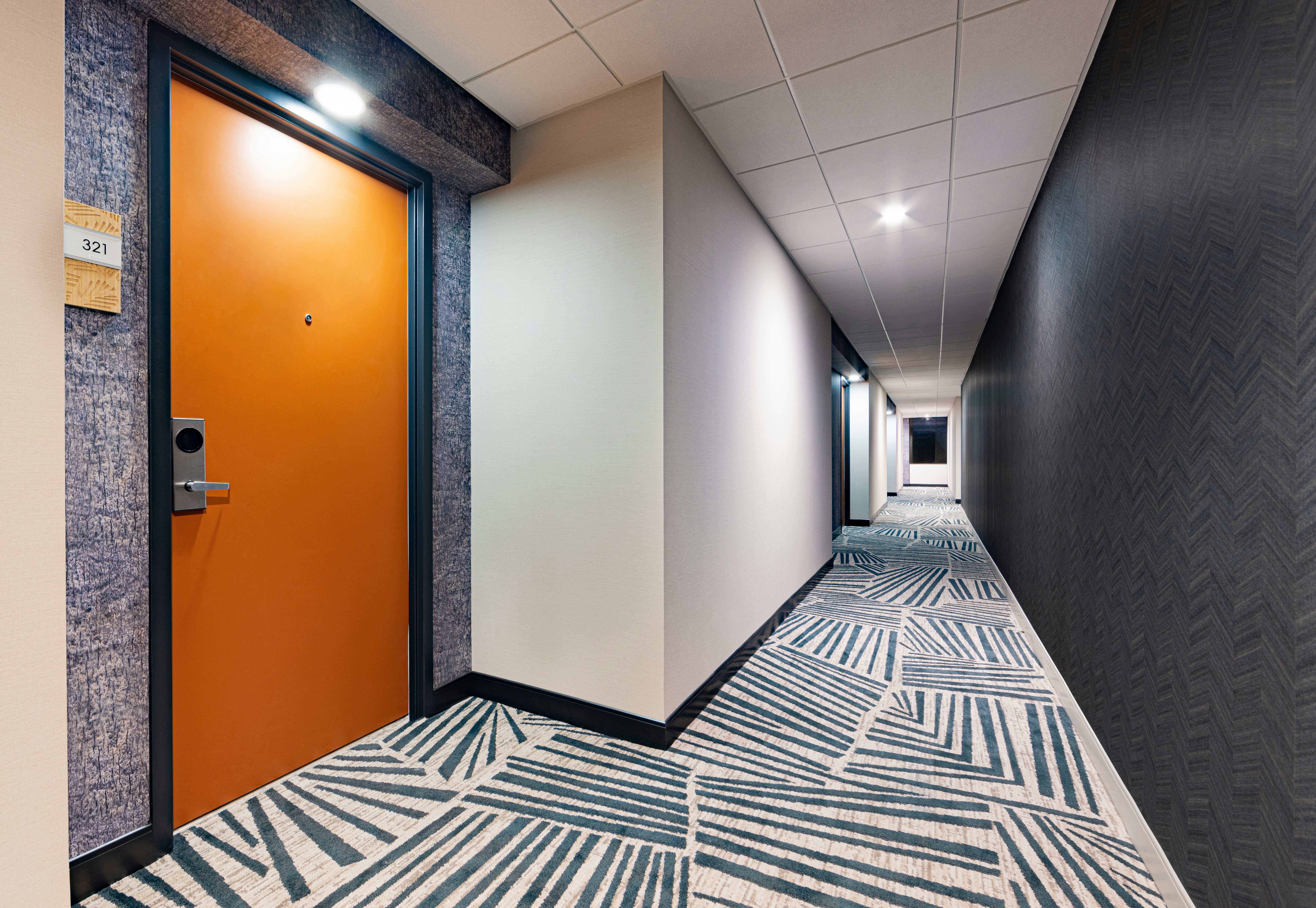 Hotel Fera Anaheim a DoubleTree by Hilton 20/63