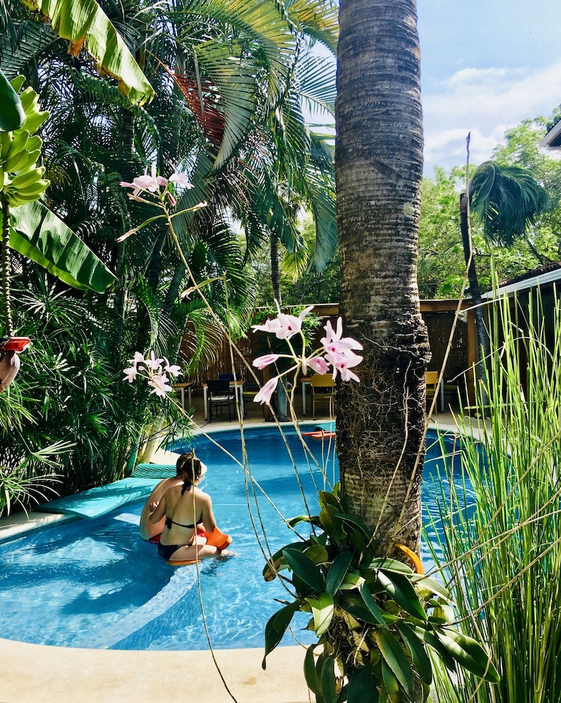 Ten North Tamarindo Beach Hotel 57/70