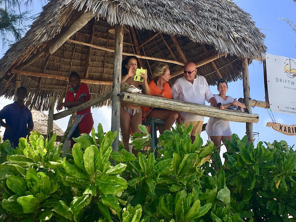 Driftwood Beach Lodge 5/48