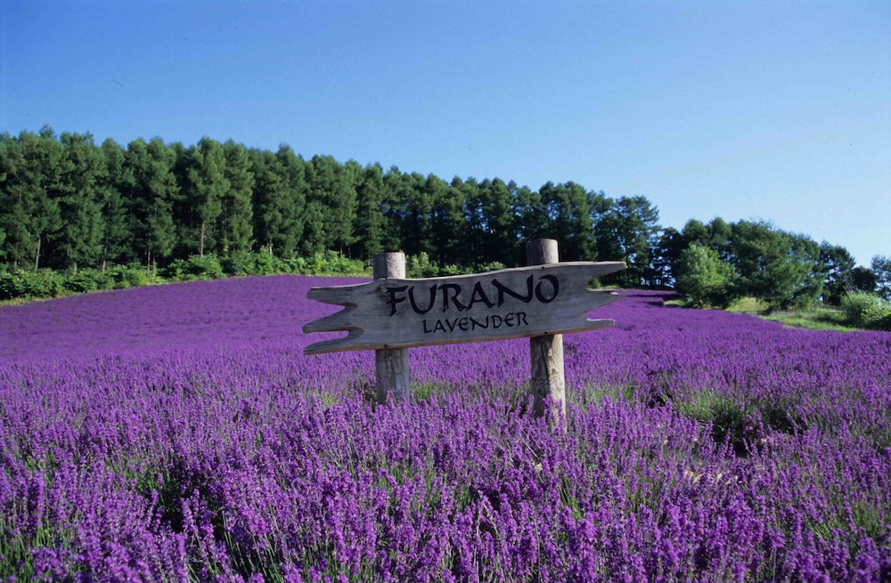 Pension Lavender 35/36