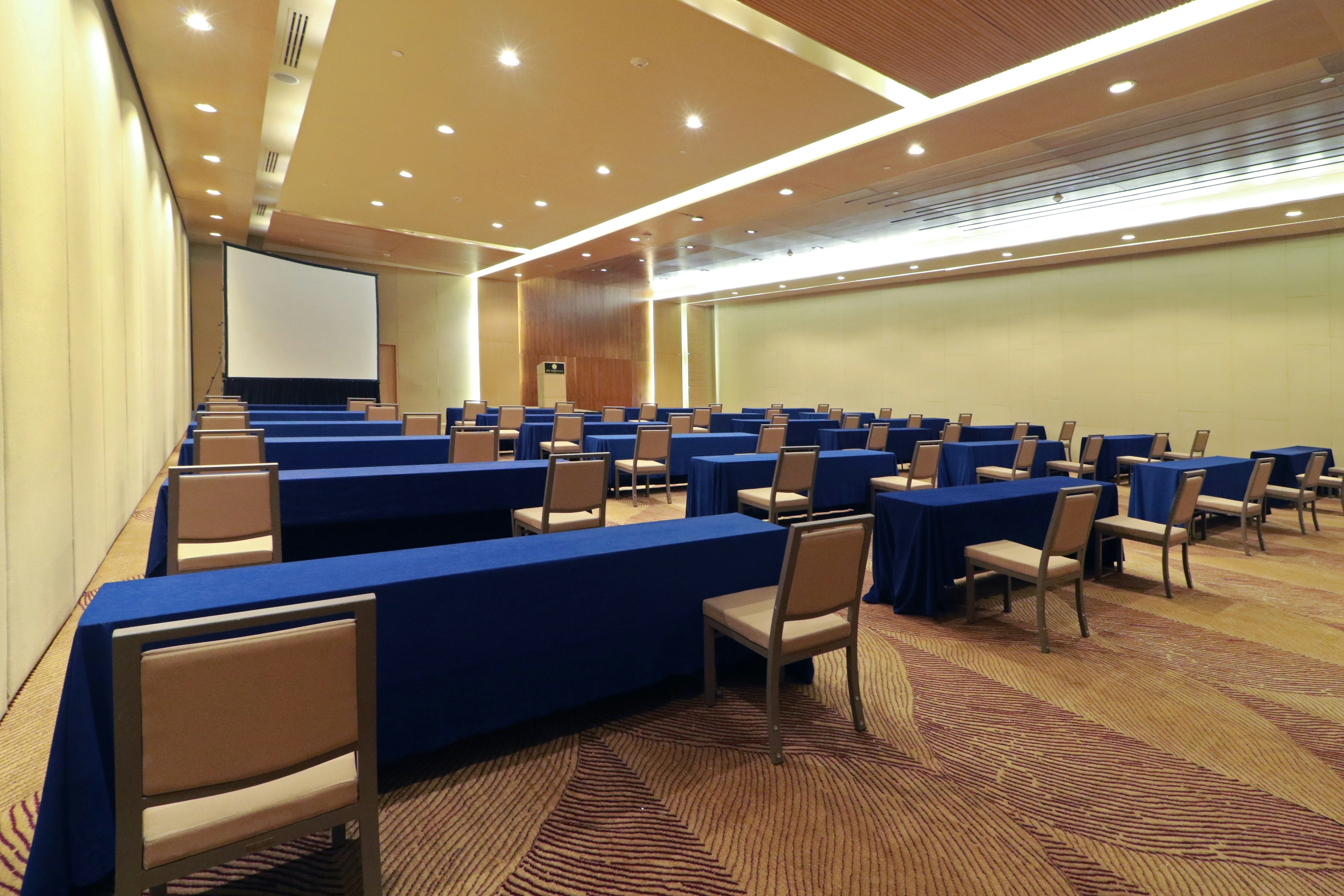 MS Milenium Monterrey Curio Collection by Hilton 65/77