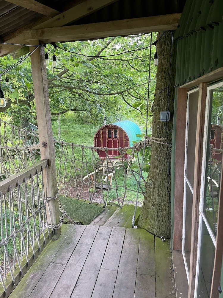 Owl Lodge 20/50