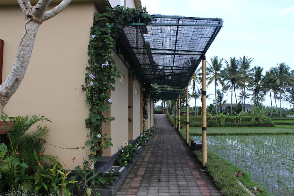 Manyi Village 4/64