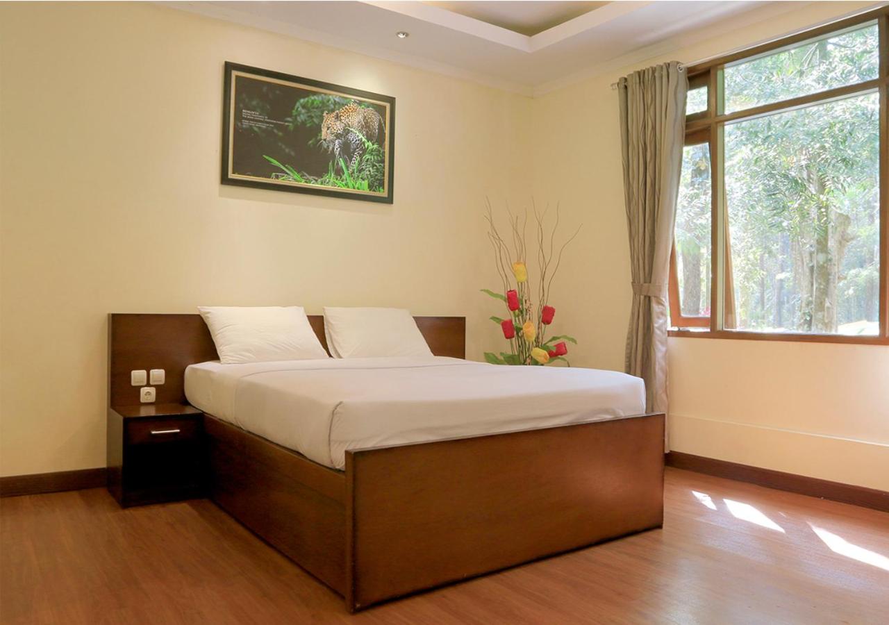 Safari Lodge Hotel 12/51