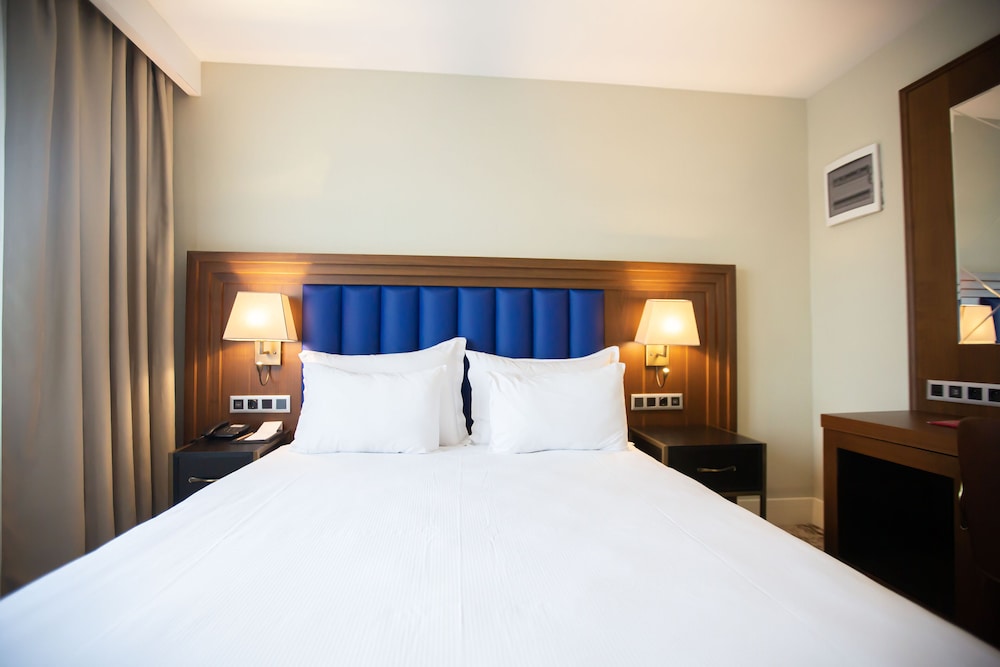 Ramada Plaza by Wyndham Istanbul Sultanahmet 22/50