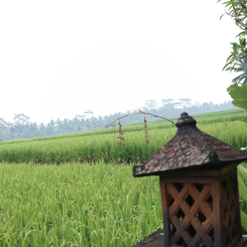 Royal JJ Ubud Resort and Spa 70/77