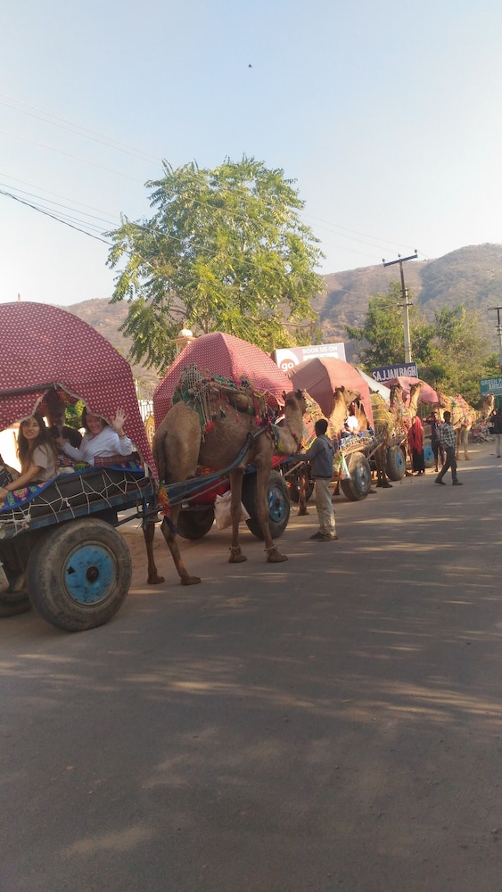 Sajjan Bagh 33/48