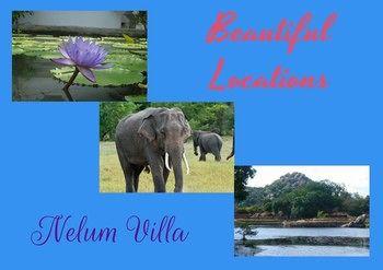 Nelum Villa 26/27