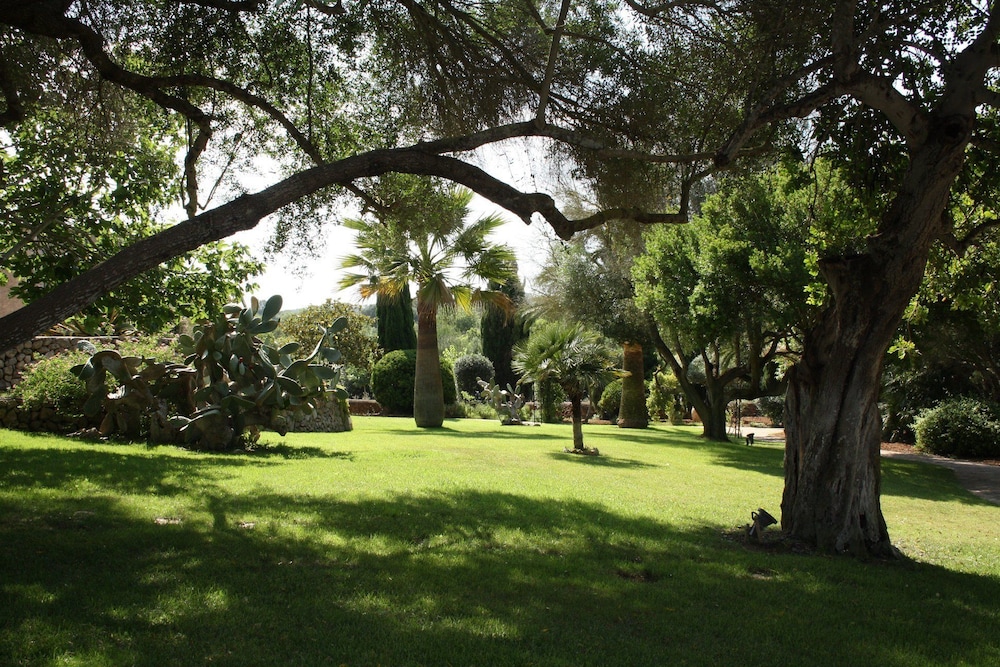 surroundings