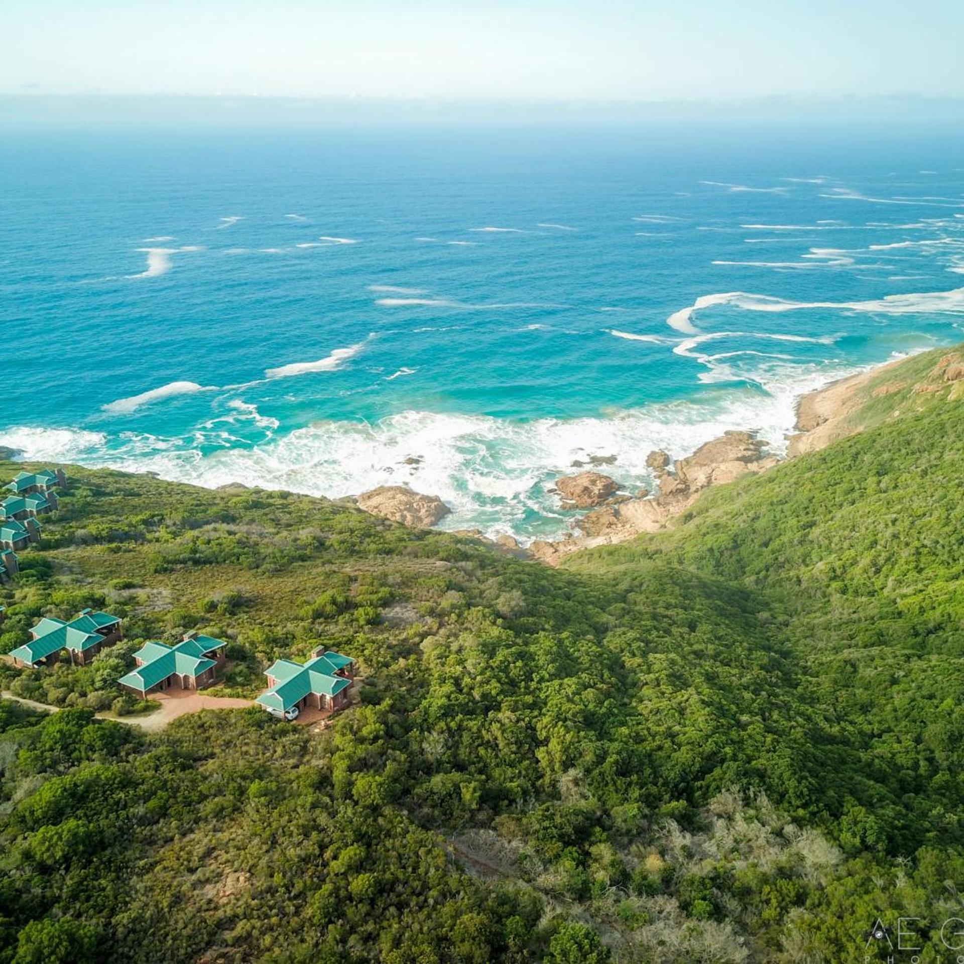 Blue Whale Resort 31/50