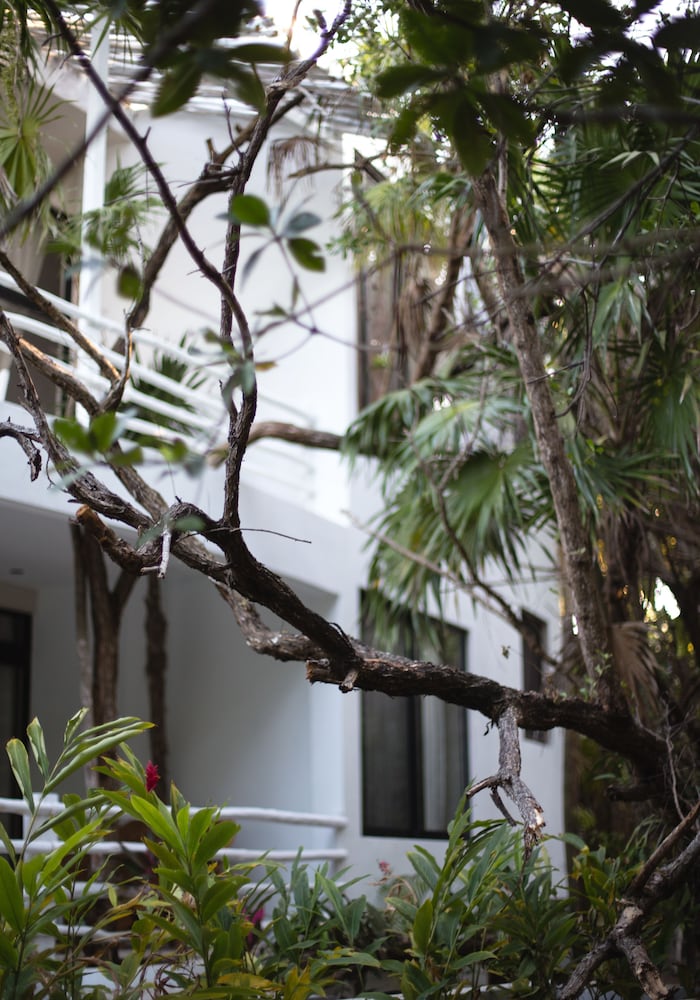 Casa Ambar 44/50