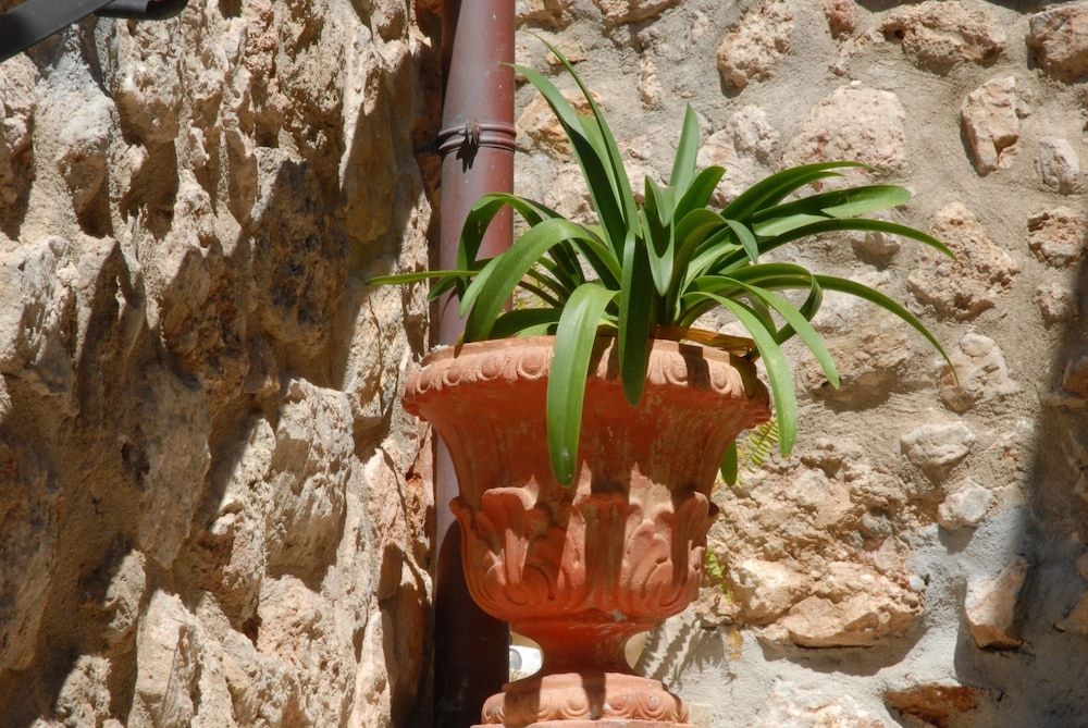 Hotel Sa Vall Valldemossa 24/70