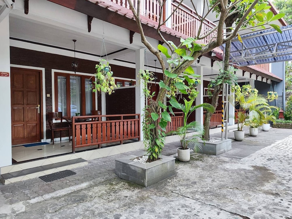 Paku Mas Hotel 3/41