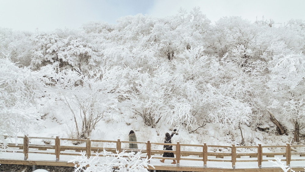 Yong Pyong Resort 39/50