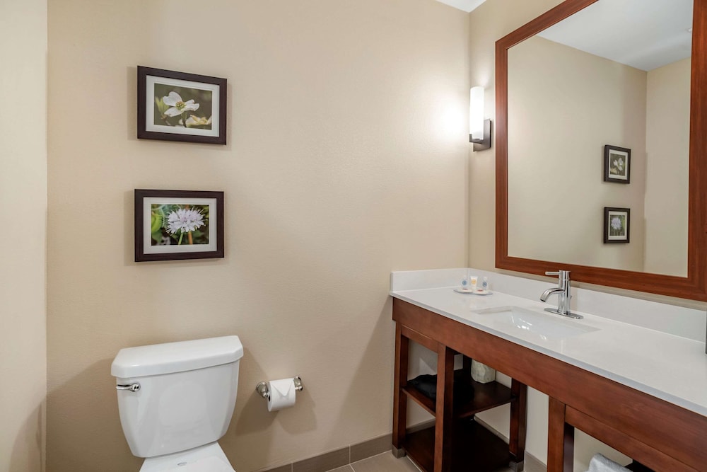 غرفة قياسية بسريرين كوين، Comfort Inn & Suites Winchester VA 3/5