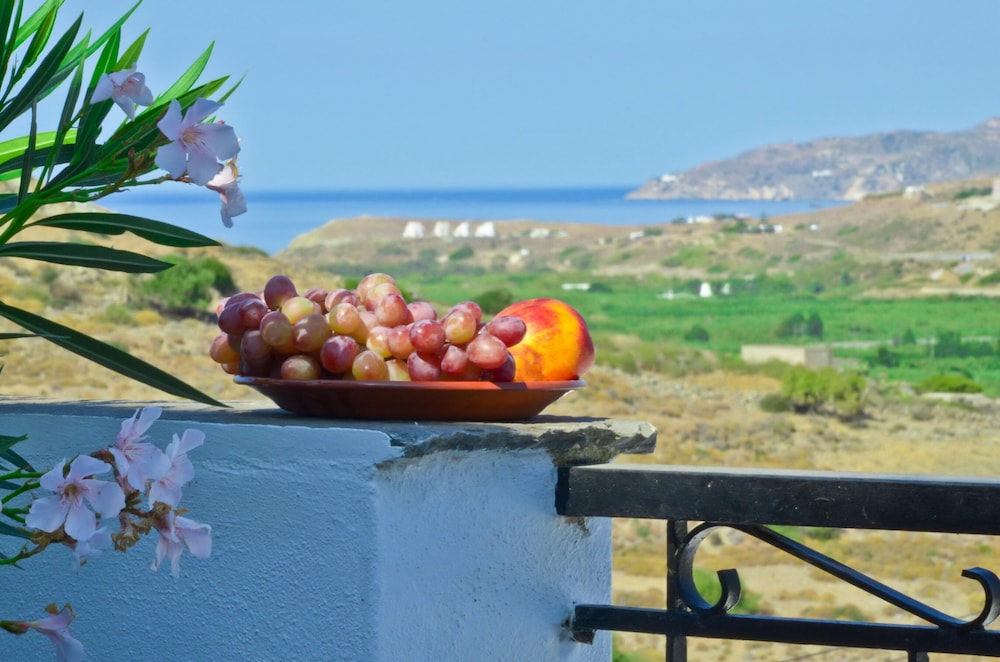 纳克索斯斐罗克斯尼娜酒店(Hotel Naxos Filoxenia) 图片3