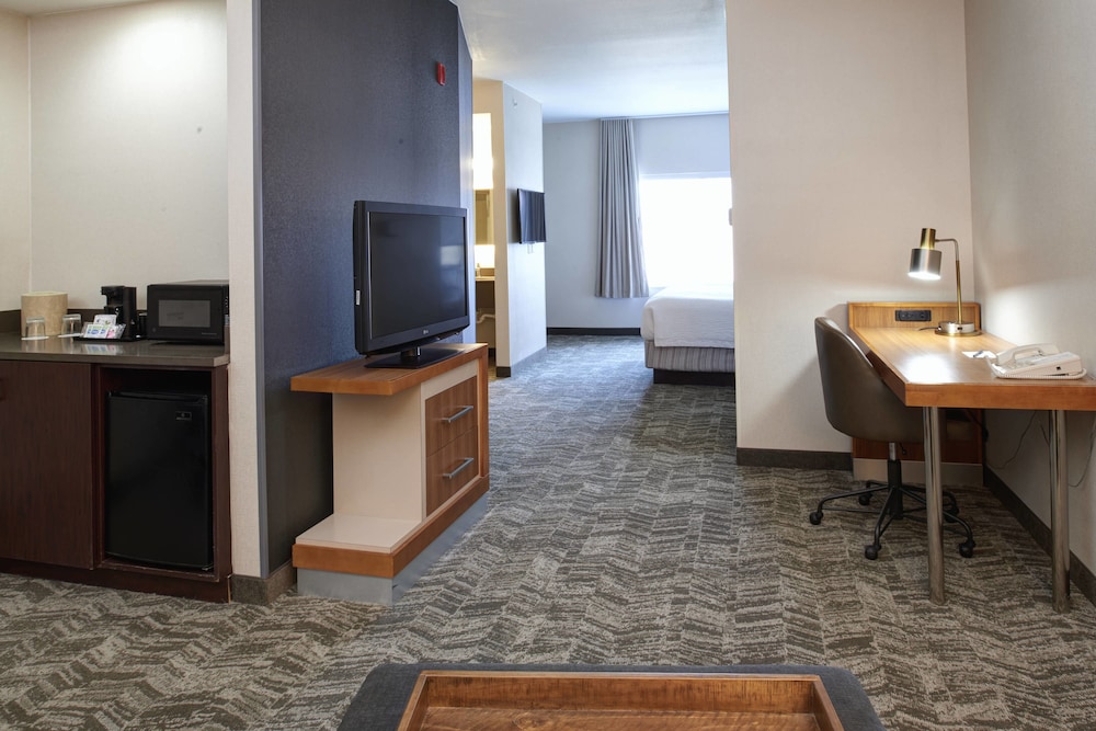 SpringHill Suites by Marriott Frankenmuth 18/20