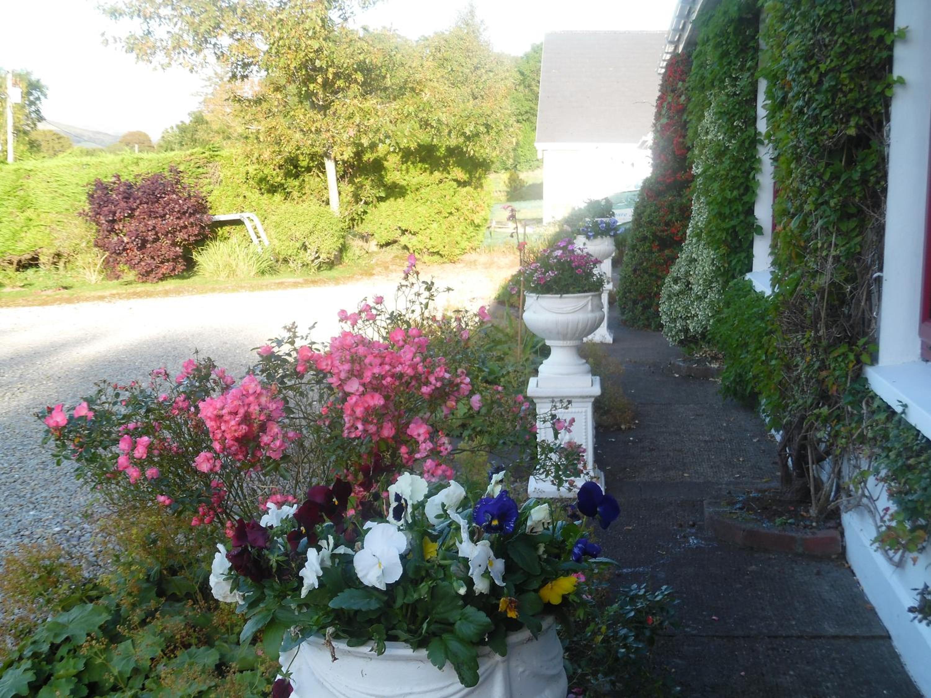 River Meadows B&B 21/23