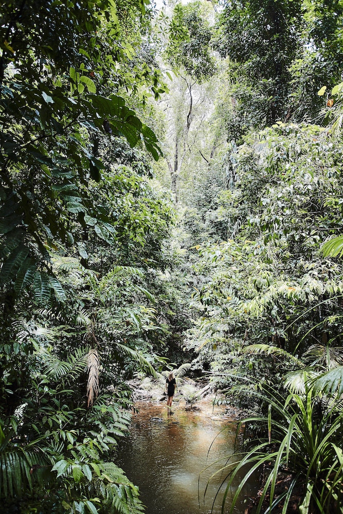 Daintree Ecolodge 43/50