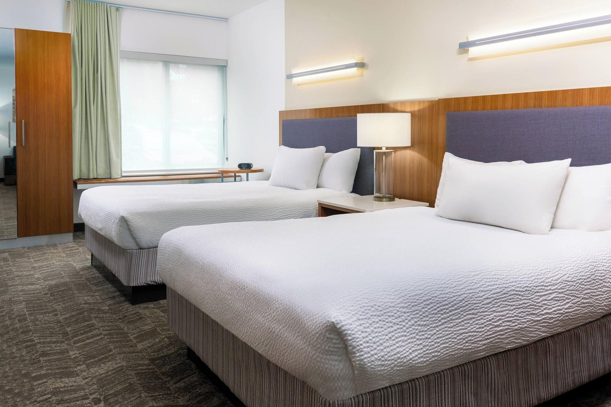 Suite, Multiple Beds, Accessible