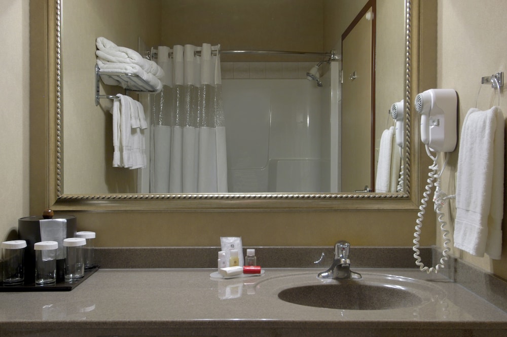 غرفة بسرير كينج مع أريكة، Ramada By Wyndham Drumheller Hotel & Suites 7/7