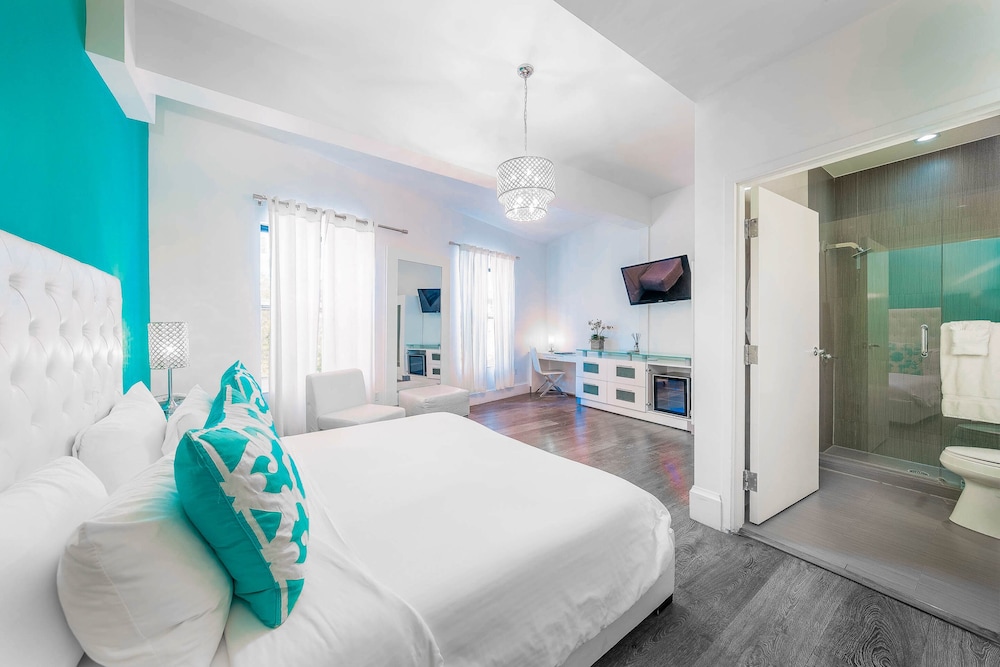Ithaca of South Beach Hotel 14/51