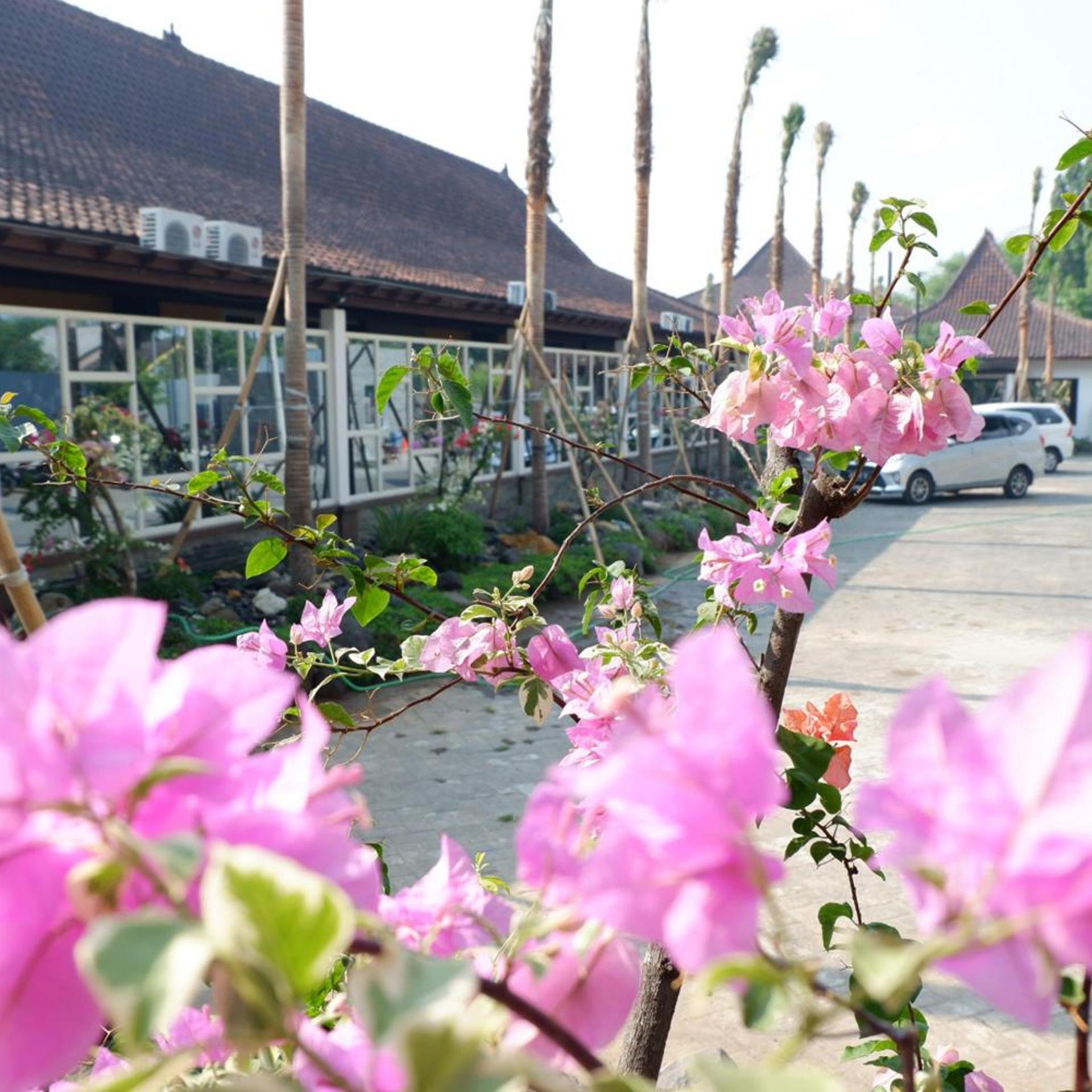 Ataya Hotel 19/22