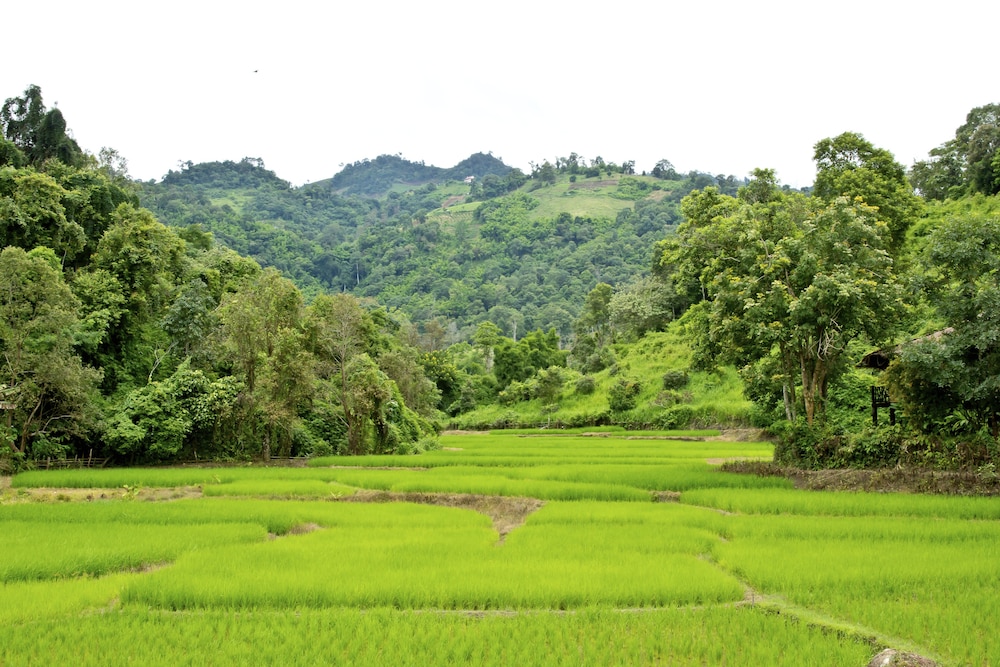 Hmong Hilltribe Lodge 25/42