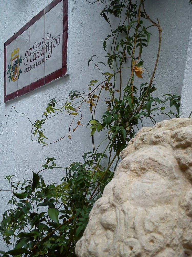 Casa de los Naranjos 30/34