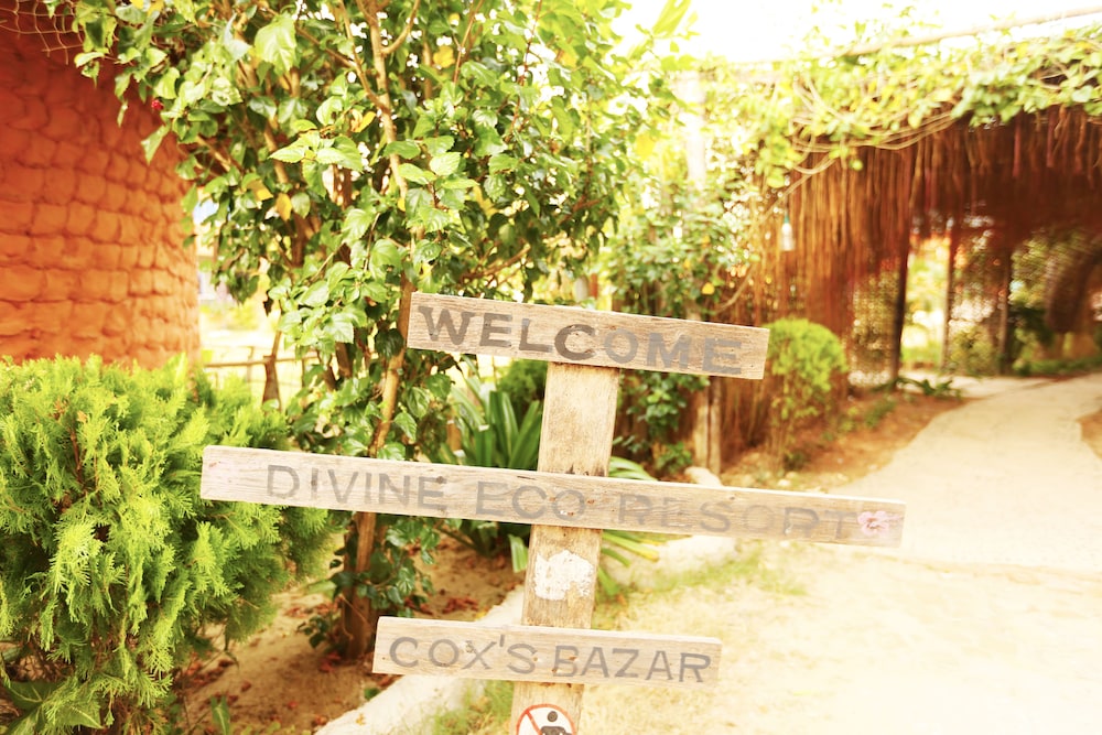 Divine Eco Resort 43/50