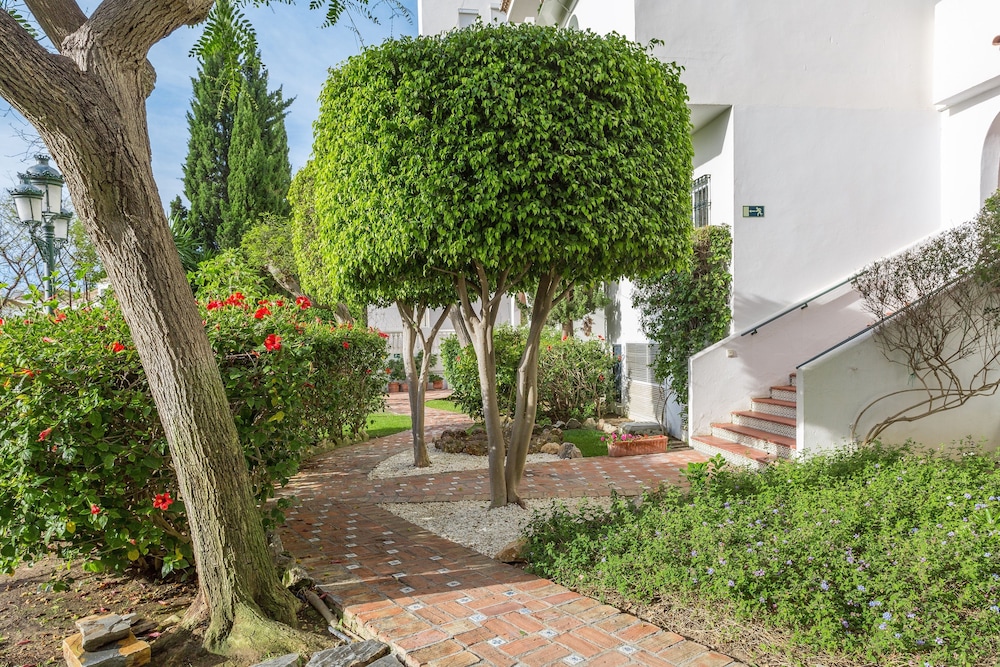 Royal Oasis Club at Pueblo Quinta 5/57