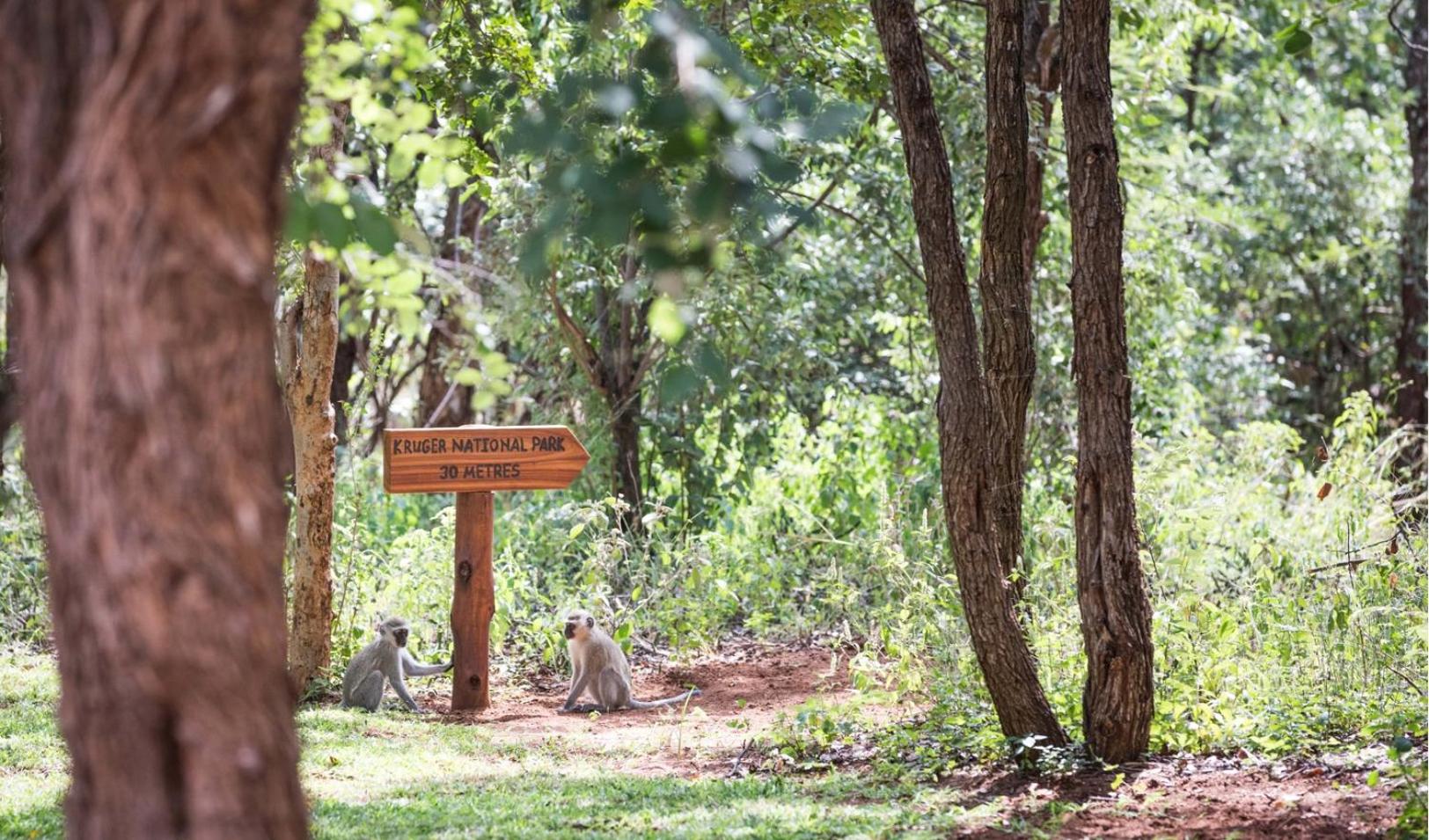 Kingly Bush Villa 33/36