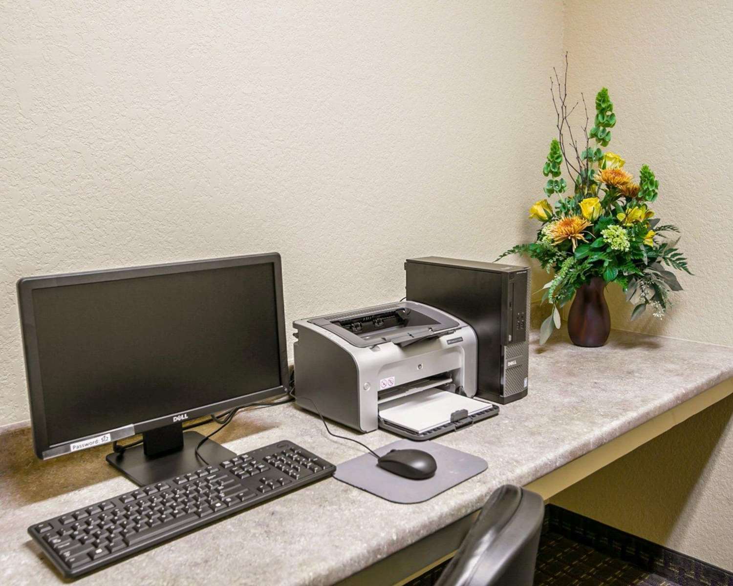 Sleep Inn & Suites Gonzales near Palmetto State Park 44/50