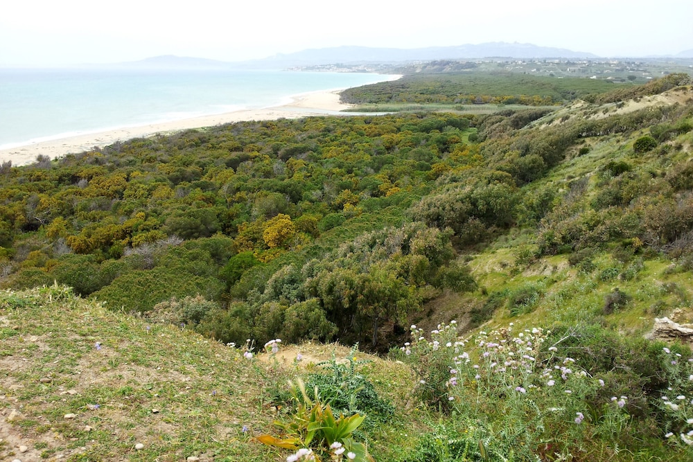 surroundings