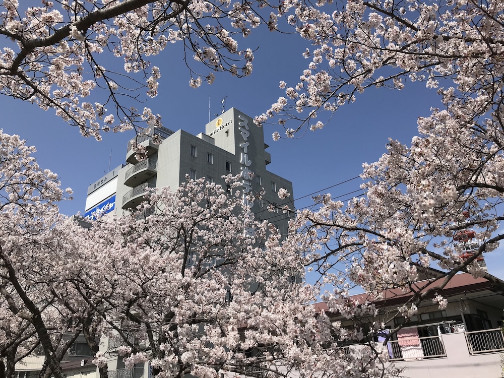 Smile Hotel Mito Ibaraki Prefecture 12/43