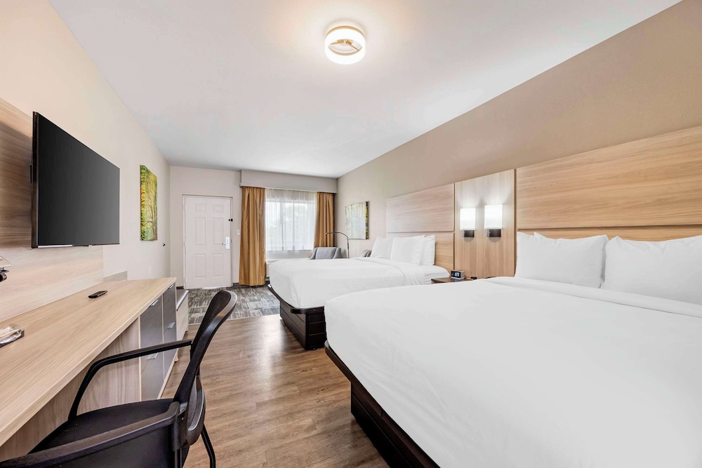 The Bradford Hotel, Ascend Hotel Collection 26/60