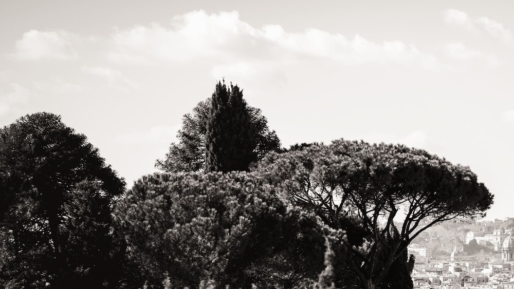 Divina Luxury Hotel 50/55