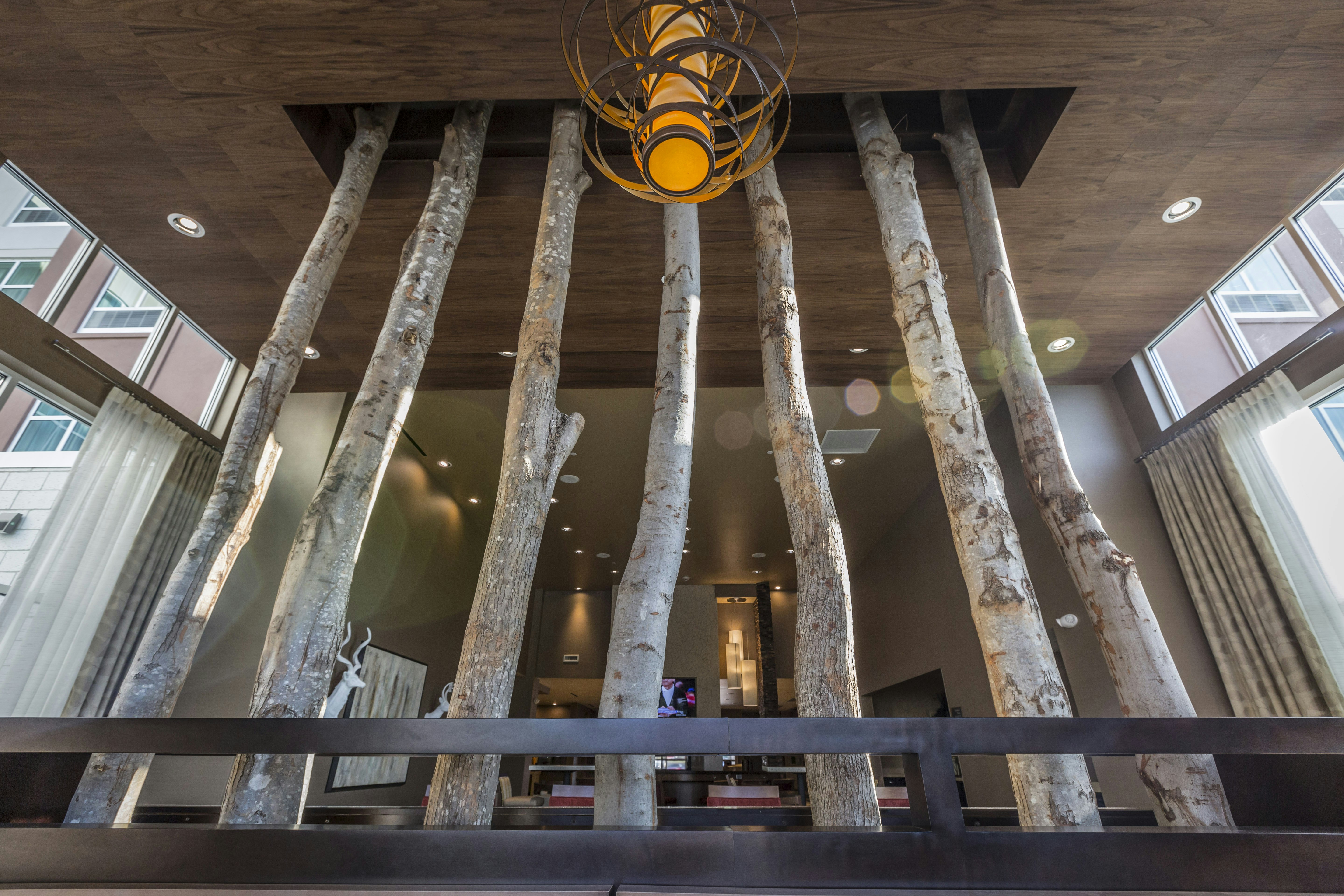 Homewood Suites by Hilton Charlotte Ballantyne, NC in CHARLOTTE - NC
