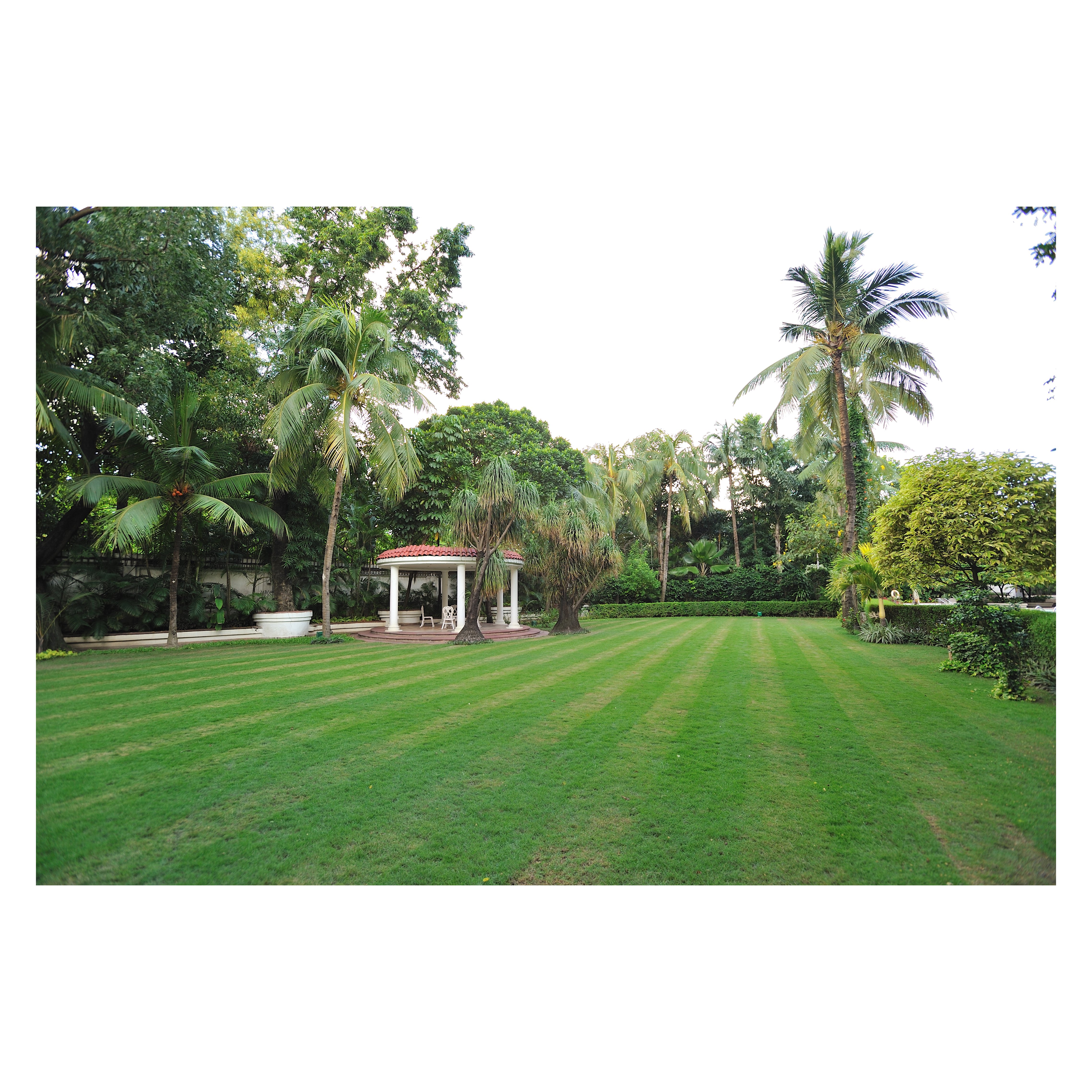 TAJ BENGAL 66/72