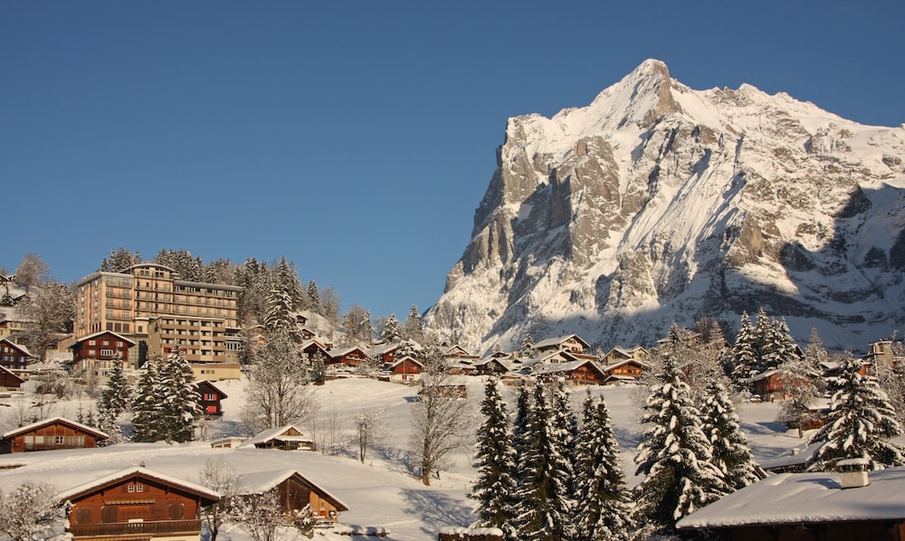 Belvedere Swiss Quality Hotel 23/33
