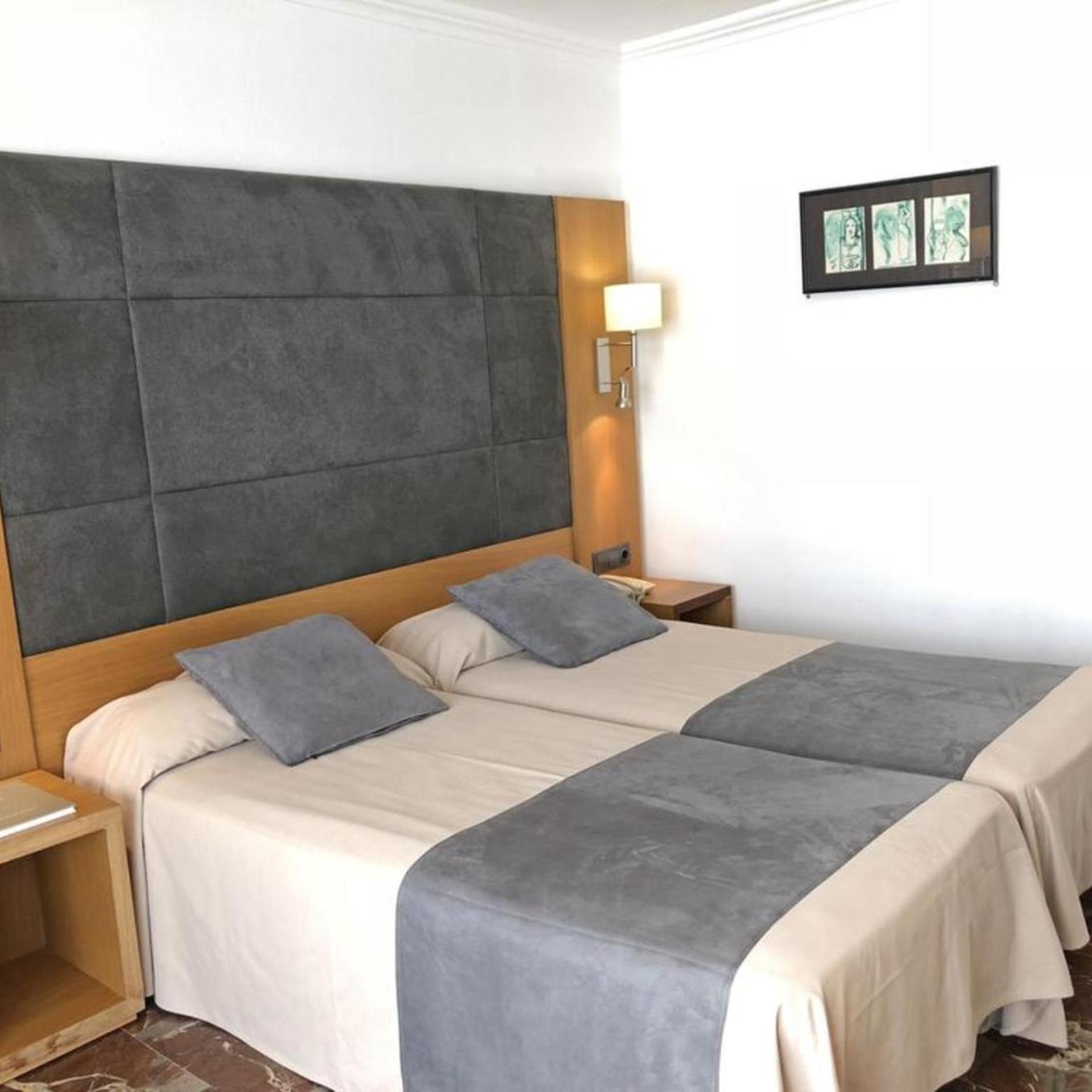 Room, Double or Twin Bed