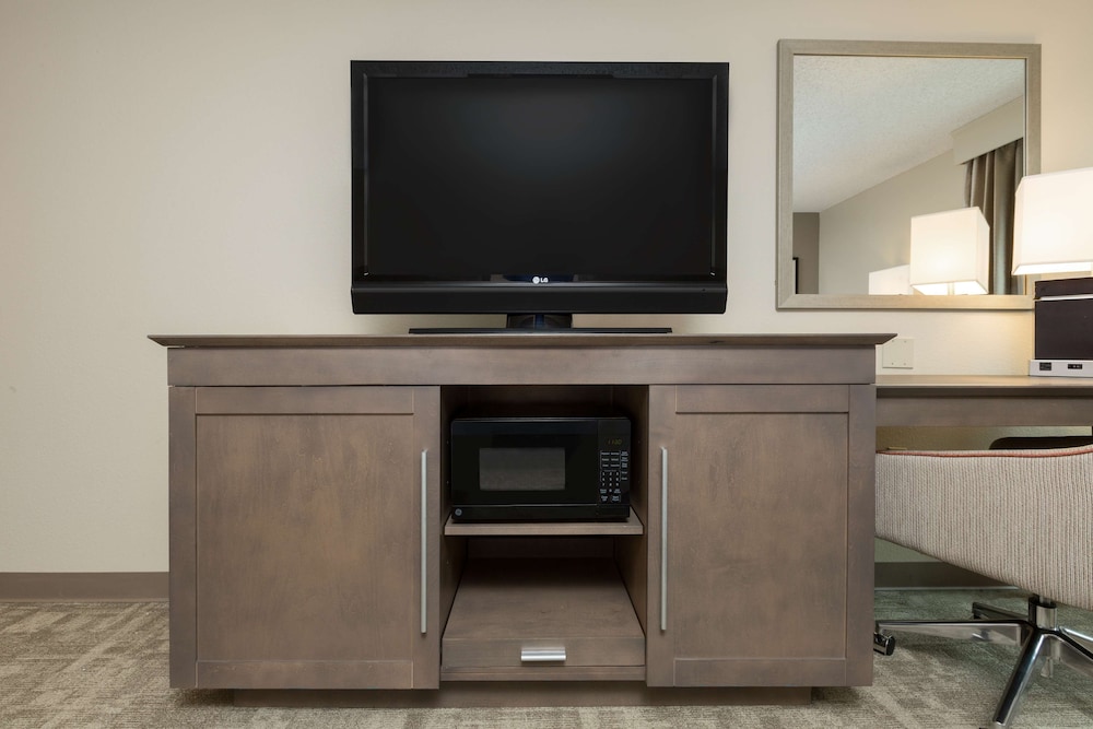 Hampton Inn Houston Near The Galleria 33/34