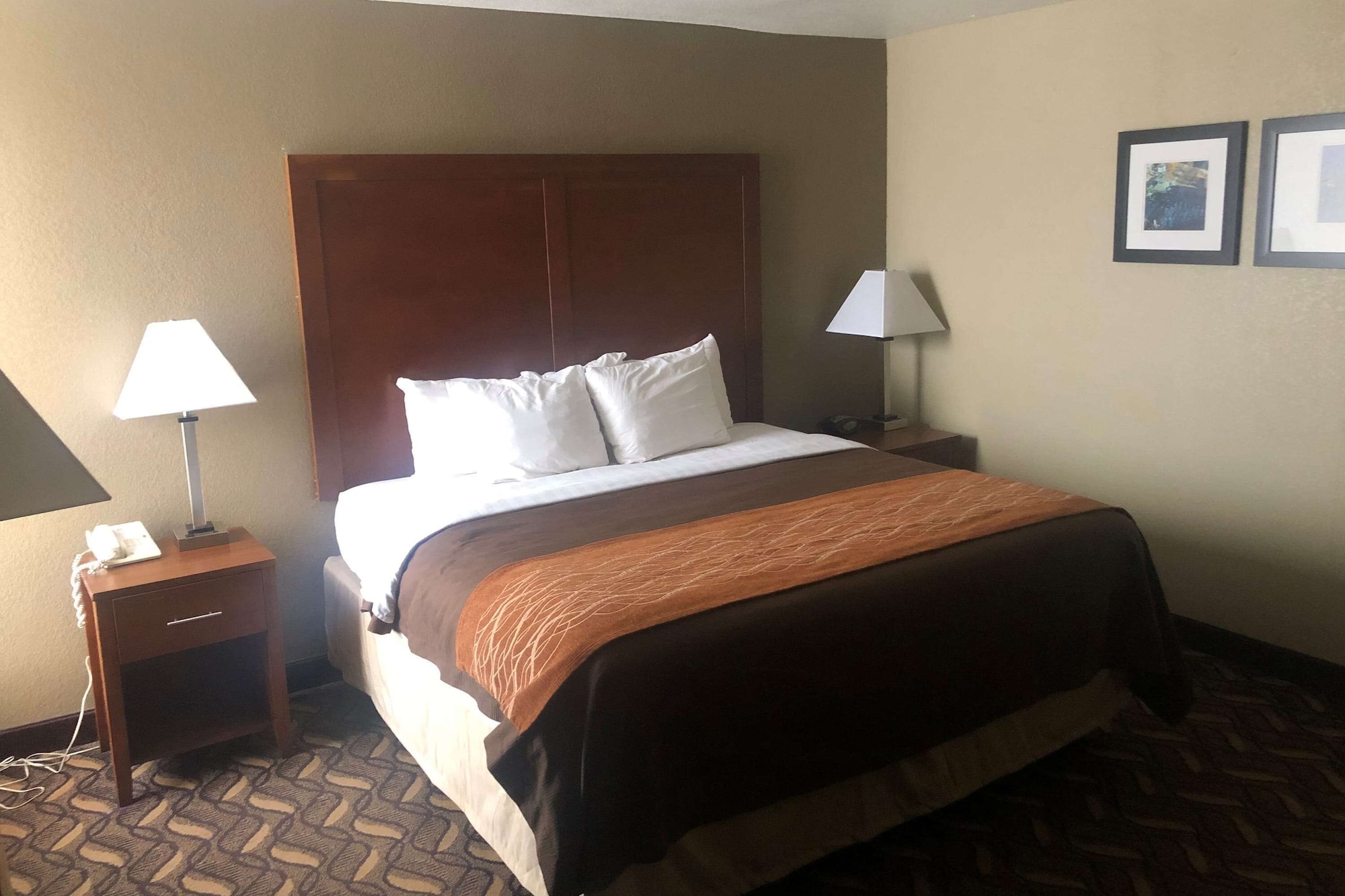 Room, King Bed