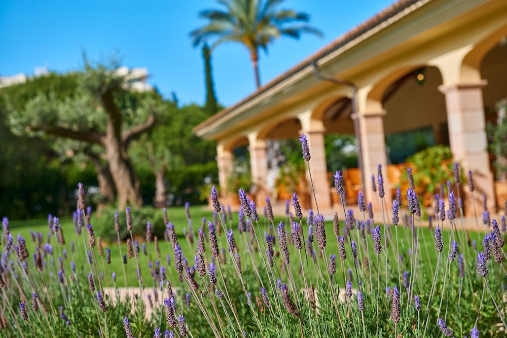 Cm Mallorca Palace - Adults Only 44/50