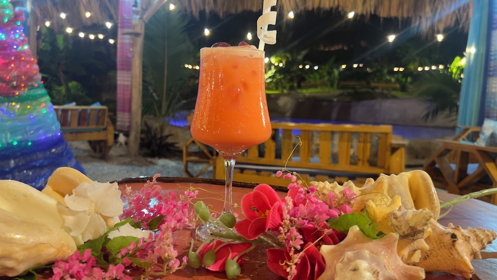 Chalet Tropical Village B&amp;B 30/74